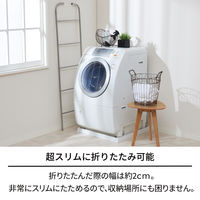 天馬 ポーリッシュ インテリア物干し ラダー PSI-08 1セット（3個）