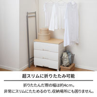 天馬 ポーリッシュ インテリア物干し パネルスリム PSI-10 1セット（3個）