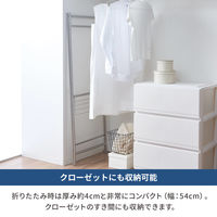 天馬 ポーリッシュ インテリア物干し パネルM PSI-01 1セット（3個）