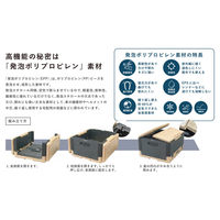 石山 折りたためるクーラーボックス ブラウン(蓋)×オフブラック(本体) 4546516100200 1個