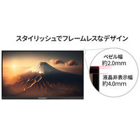 JAPANNEXT 21.5インチ液晶モニター 上下昇降機能/画面回転機能 JN-I215F-HSP 1台