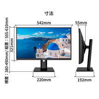 JAPANNEXT 23.8インチ液晶モニター 上下昇降機能/画面回転機能 JN-I238FR-HSP 1台