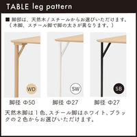 【軒先渡し】HIKARI ワークカフェダイニング ダイニングテーブル DLT-アリカ 140-WDテンバン/ウッドレッグ 1台（直送品）