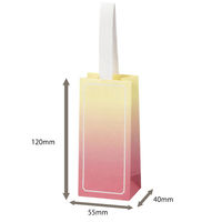 【限定デザイン】 グラデーションギフトバッグ LIP 限定