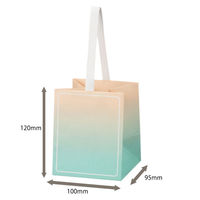 【限定デザイン】 グラデーションギフトバッグ JAR 限定