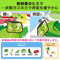 野菜長持ち 新鮮番 野菜室に置くだけ 野菜用 鮮度保持剤 1セット（1個×5）エステー