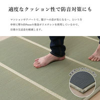 い草 ユニット 畳 軽量 抗菌防臭 消臭 防音 断熱性 お手入れ『畳マットレス』 1040130011014 1枚