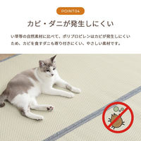 イケヒコ・コーポレーション 洗える ござ 日本製 国産 カーペット リバーシブル 除菌スプレー対応『ミーサ』 1090740020802 1枚