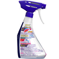 ルックプラス バスタブクレンジング 銀イオンプラス スカッシュシトラス 本体 500ml 1個 ライオン