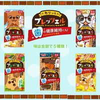 プレッツェル 国産ビーフ味 歯の健康維持 国産 30g（10g×3パック）1個 スマック 犬用 おやつ