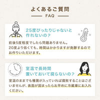 日本ケフィア 16包入オリジナルケフィア×1袋 4955079122015 1袋(16包入)（直送品）