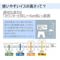 風呂いす Ag抗菌 座面高さ 25cm グレー 4本脚タイプ 低め Emeal エミール 1個 アスベル