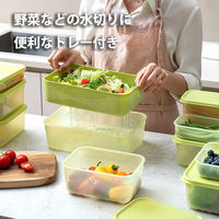 ロック＆ロック キープフレッシュ 鮮度保持 保存容器 長方形 3.2L トレー付き グリーン 食洗機・電子レンジ対応 1セット（1個×5）ベストコ