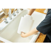 シロカ 加湿機能付きセラミックファンヒーター ポカプラス SH-3D151W 1個