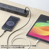 サンワサプライ  雷タップ　10個口＋USB-A+Type-C(PD20W) TAP-SP2110NUC-2BK（直送品）