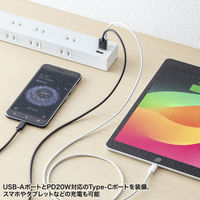 サンワサプライ 雷タップ 10個口+USB-A+Type-C(PD20W) TAP-SP2110NUC-2W 1個