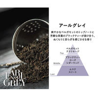 グランセンス スティックディフューザー アールグレイ 1個 グローバルプロダクトプランニング