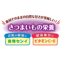 ペティオ 素材そのまま 無添加 さつまいも ひとくちタイプ 生後3ヶ月の超やわらか 120g（40g×3袋）1袋 犬用 おやつ
