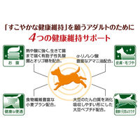 ペティオ more soft モアソフト 無添加 チキン アダルト 1歳以上用 600g（100g×6袋）1袋 犬用 おやつ