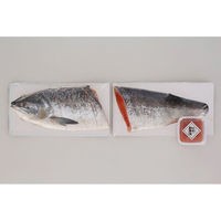 佐藤水産 2024【御歳暮】のし付き 北海道 銀毛新巻鮭といくら MS-07EEI 1箱（直送品）