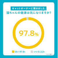 i CARE（アイケア）食物アレルギーケア かつおスープ 国産 35g 1セット（1袋×24）アイシア キャットフード