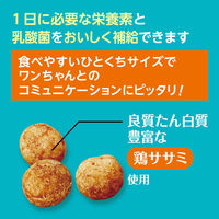 ペティオ プラクト 総合栄養食 無添加 ササミビッツ ササミ 国産 80g 1セット（1袋×3） 犬用 おやつ