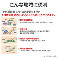 東芝 CDラジカセ 高音質スピーカー ワイドFM対応 TY-CDS9（P） 1台