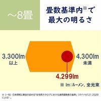 日立 シンプル(調色)タイプ 8畳 LEC-AH08U 1台