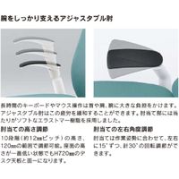 イトーキ フルゴチェア 布地張り ハイバック 可動肘付 ブラック×モスグリーン KF-437GB-T1Q6 1脚（直送品）