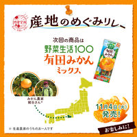 カゴメ 野菜生活100 青森りんごミックス 195ml 1セット（48本）