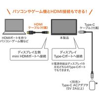サンワサプライ モバイルモニター15.6インチ DP-01 1個（直送品）