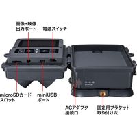 トレイルカメラ　防犯カメラ　動物・獣害対策　屋外　工事不要　乾電池式/AC電源　CMS-SC03GY　サンワサプライ　1台（直送品）
