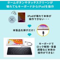 有線キーボード　パンタグラフ　Lightning接続　コンパクト　ブラック　SKB-IP3BK　サンワサプライ　1個（直送品）