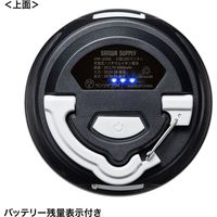 サンワサプライ 小型USB充電式LEDランタン USB-LED02 1個（直送品）