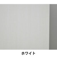 YAMAZEN（山善） 木製シェルフ（本棚 書棚） 3段 両開き（鍵付き・シリンダー錠） ホワイト 幅800×奥行360×高さ1100ｍｍ 1台（直送品）