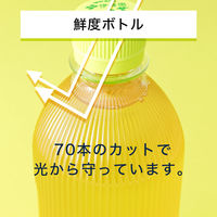 伊藤園 ラベルレス おーいお茶 緑茶 カフェインゼロ 470ｍl 1箱（24本入） ノンカフェイン