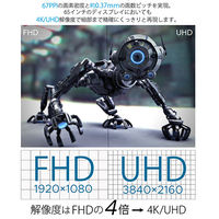 JAPANNEXT 65インチワイド4K対応液晶モニター JN-HDR650V4K 1台（直送品）