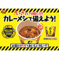 日清食品 日清カレーメシ 3種詰合せセット［カレーメシ・キーマ・ハヤシメシ］1セット（18食）カップライス カップご飯