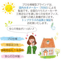 TOSO 【1cm単位】 プロ仕様 遮光 縦型ブラインド 幅87cm×高さ120cm ホワイト tf6512-87x120rr 1台（直送品）