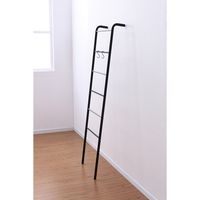 アイリスオーヤマ スタイルハンガー　ラダータイプ ブラック PI-L160 1台（直送品）