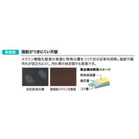 【組立設置込】プラス インテオ 会議テーブル 配線口付 ラウンド形 中間ポール脚 抗菌 4000×1200×720mm PW/P 1台（直送品）