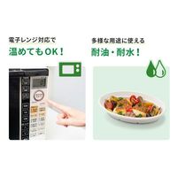 パックスタイル ＡＢカレーＣー２　ラミ　600枚(50×12) 650532（直送品）