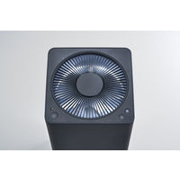 バルミューダ ザ・ピュア A01A-GR 1台