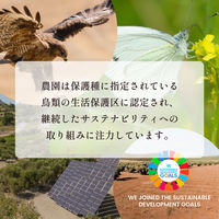 オリーブオイル1L  ガルシア エルオリバーデルソル エキストラバージンオリーブオイル 1000ml 3本 ペット 大容量