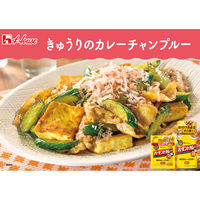 ハウス食品 味付カレーパウダー バーモントカレー味 1個　カレースパイス