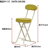 エイ・アイ・エス 折畳座厚チェア 背あり グリーン AATN-220 GN 1脚（直送品）