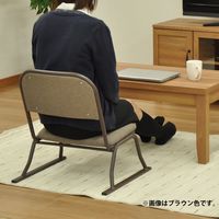 エイ・アイ・エス 楽座椅子 ロータイプ グリーン RCL-03GN-4PCS 1セット(4脚入)（直送品）