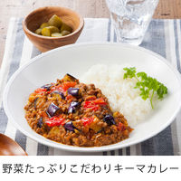 エバラ 横濱舶来亭カレーフレークこだわりの中辛 180g 1袋