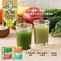 新日配薬品 乳酸菌青汁 1箱（20包入） 青汁