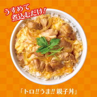 ヤマサ醤油 ぱぱっとちゃんとこれ！うま！！つゆ 2本